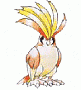   PEDGIWOTO