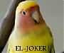   eljoker