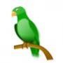   amazonbreede