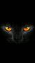   eng_Hesham